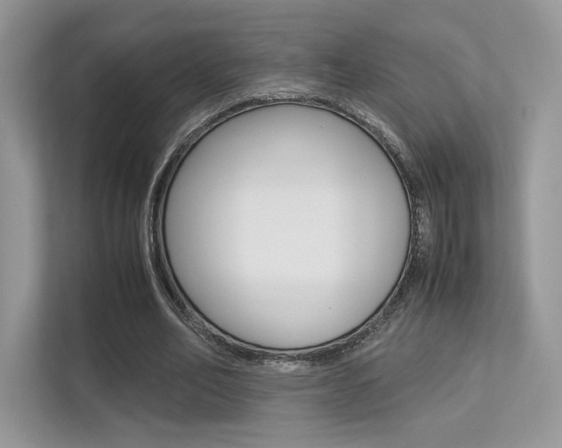 X0000113240582200909100924