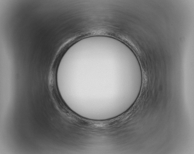 X0000113240583200909100924
