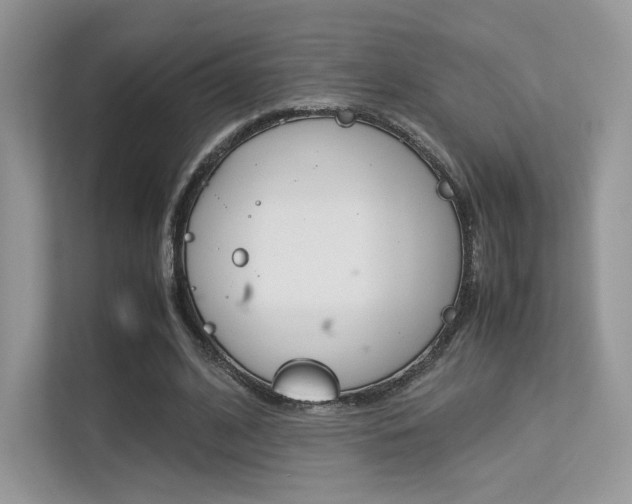 X0000113240584200909100924
