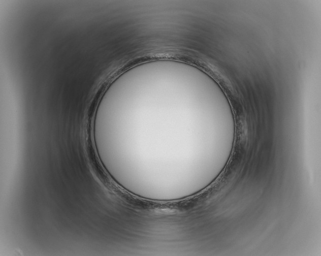 X0000113240586200909100924