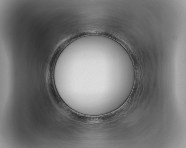 X0000113240587200909100924