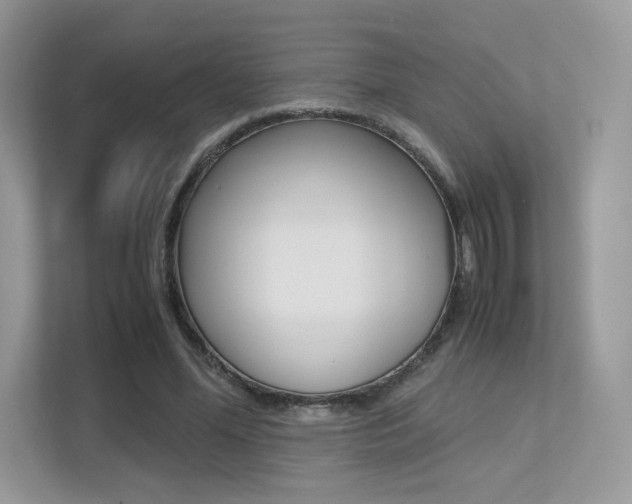 X0000113240588200909100924