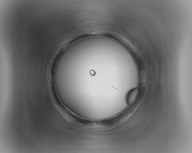 X0000113240589200909100924