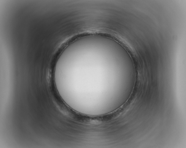 X0000113240592200909100924