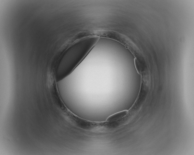 X0000113240593200909100924