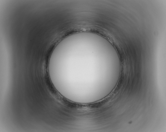 X0000113240594200909100924
