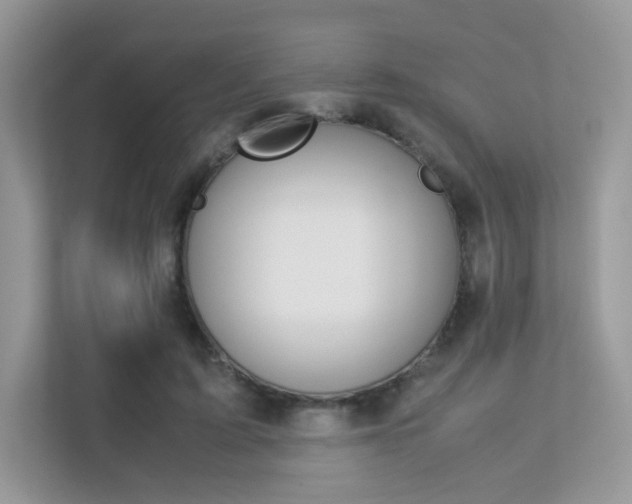 X0000113240595200909100924