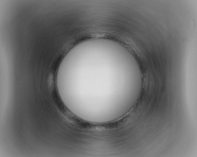 X0000113240598200909100924