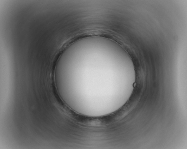 X0000113240600200909100924