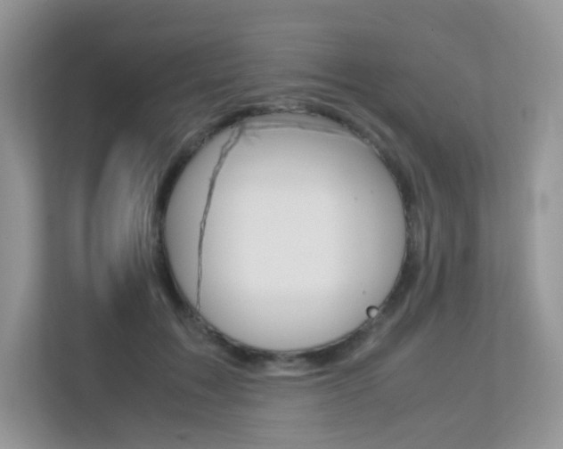 X0000113240603200909100924