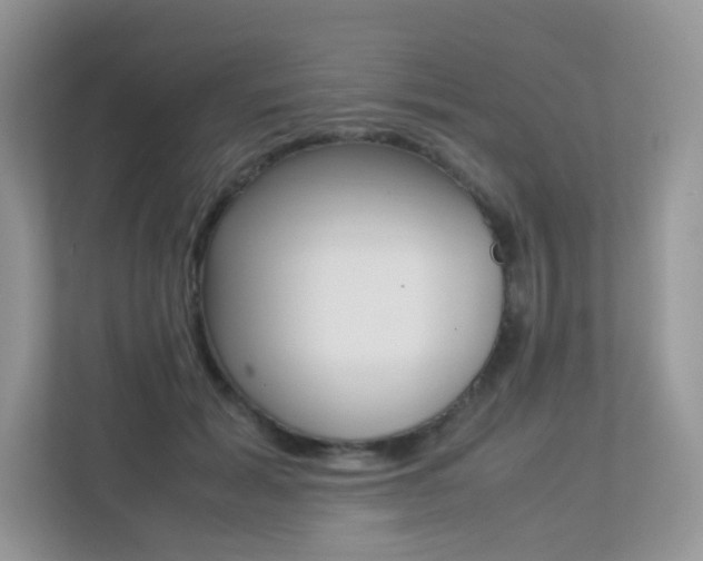 X0000113240605200909100924
