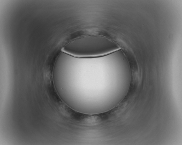 X0000113240609200909100924