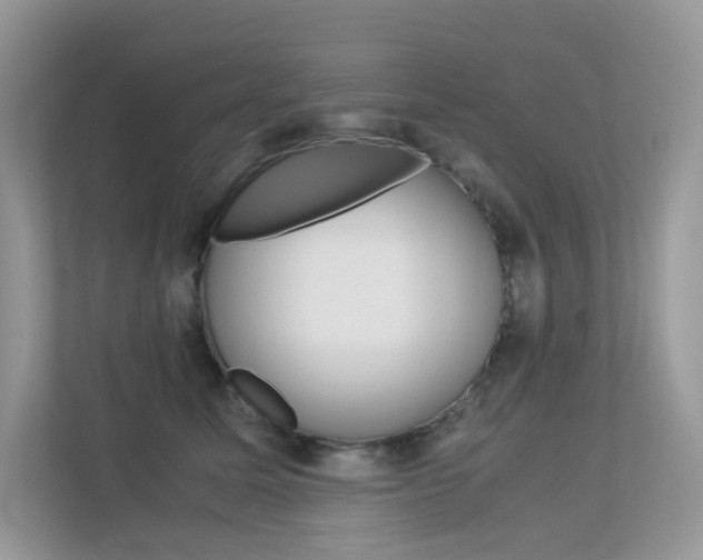 X0000113240611200909100924