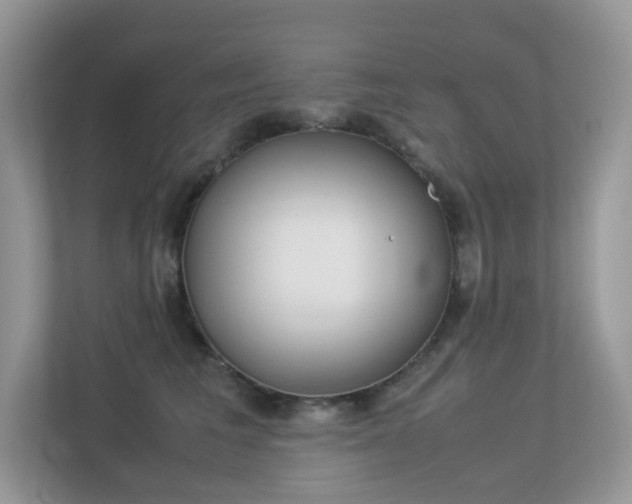 X0000113240613200909100924