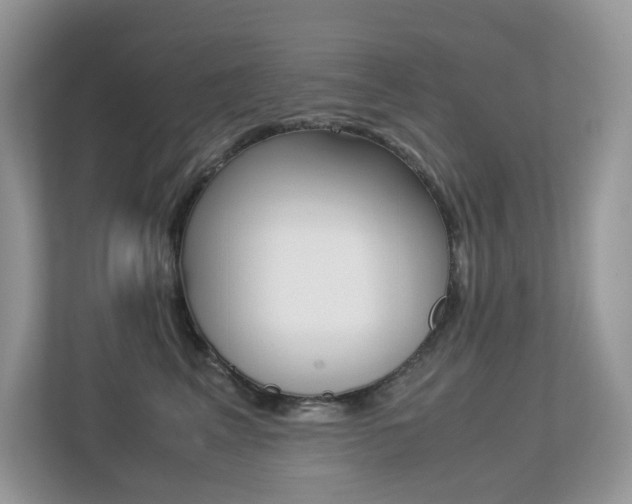X0000113240617200909100924