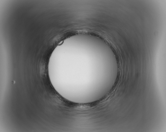 X0000113240619200909100924