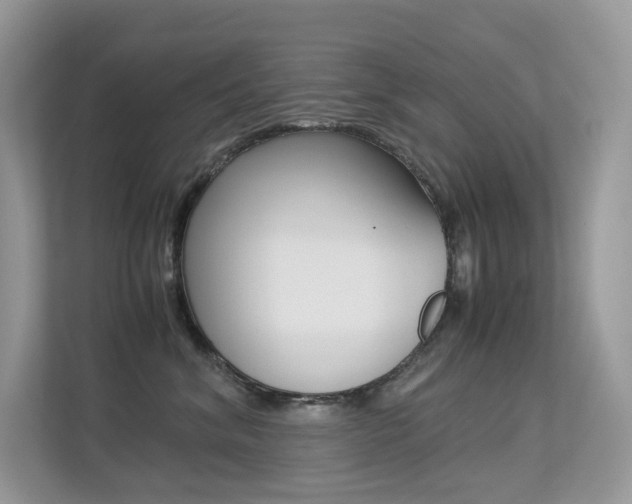 X0000113240620200909100924