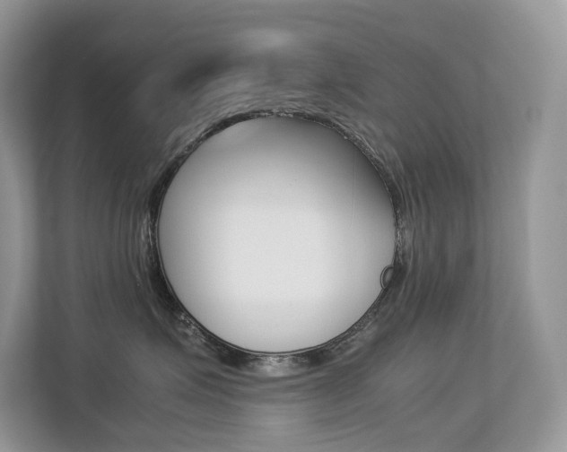 X0000113240623200909100924