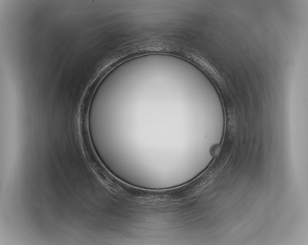 X0000113240626200909100923
