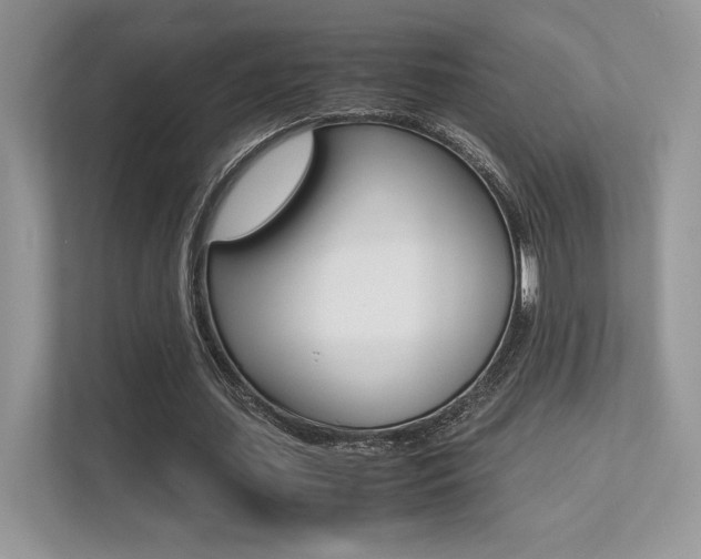 X0000113240627200909100923