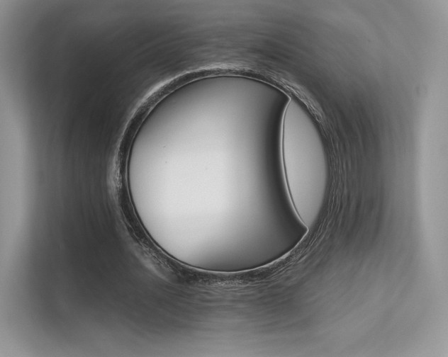 X0000113240628200909100923