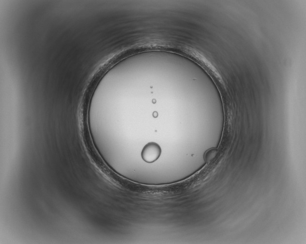 X0000113240629200909100923