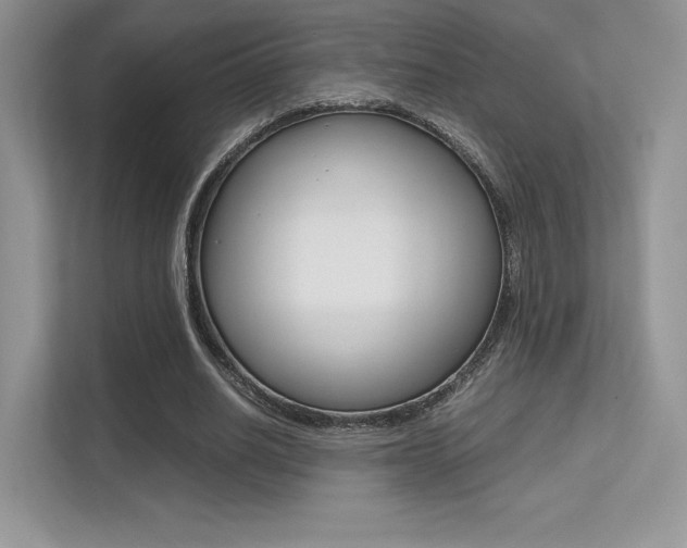 X0000113240630200909100923