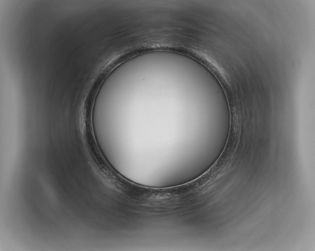 X0000113240631200909100923