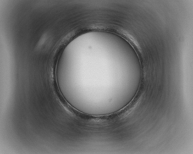 X0000113240633200909100923