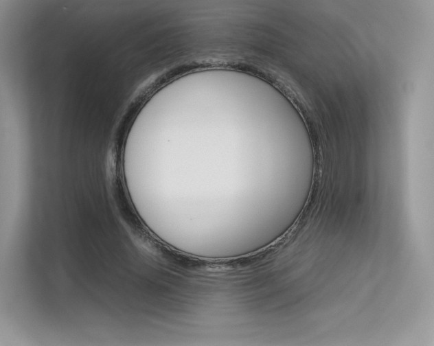 X0000113240636200909100923
