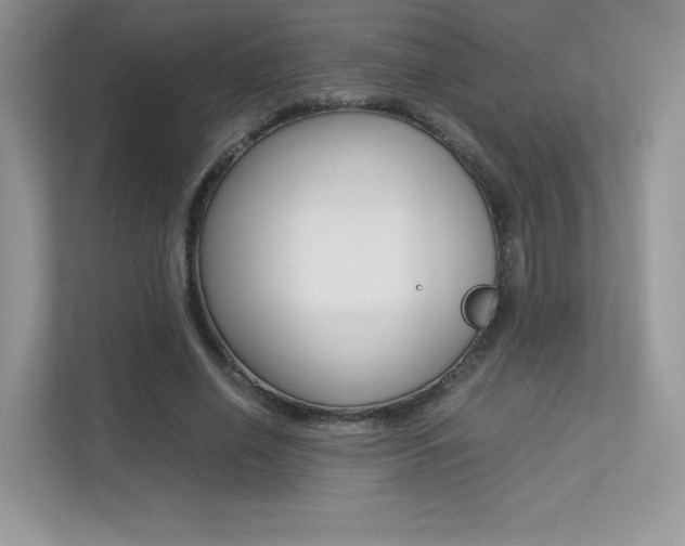 X0000113240638200909100923