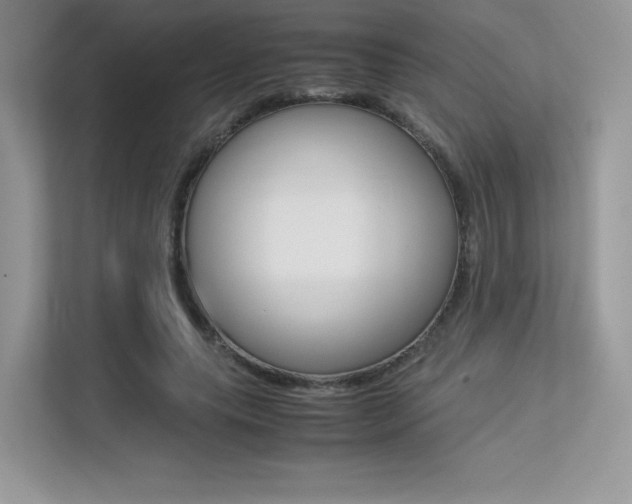 X0000113240639200909100923