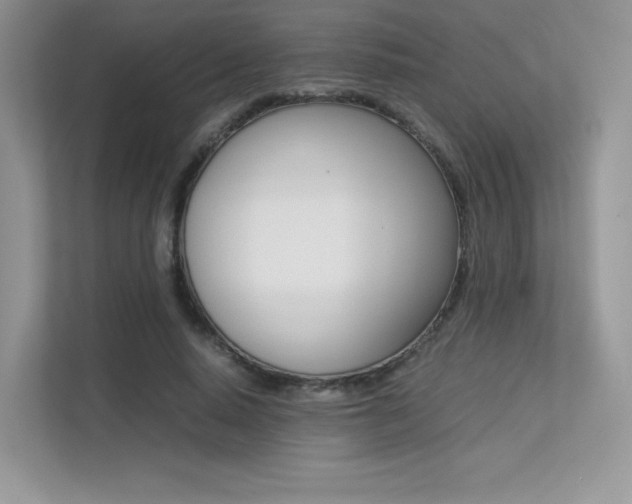 X0000113240640200909100923