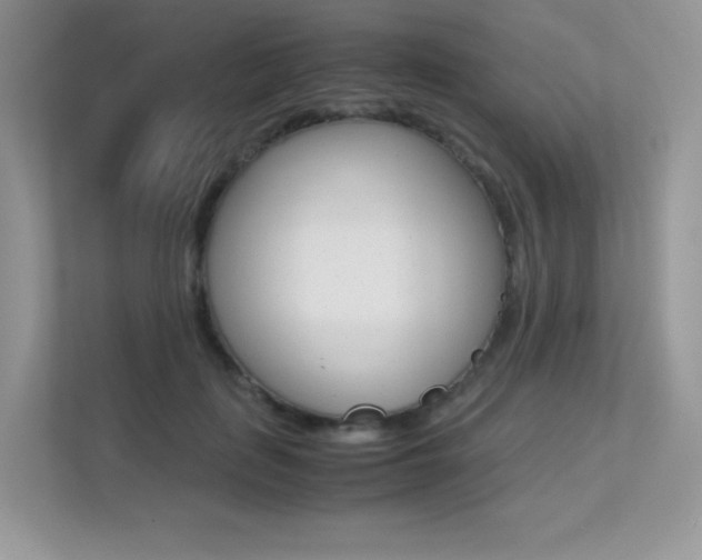X0000113240651200909100924