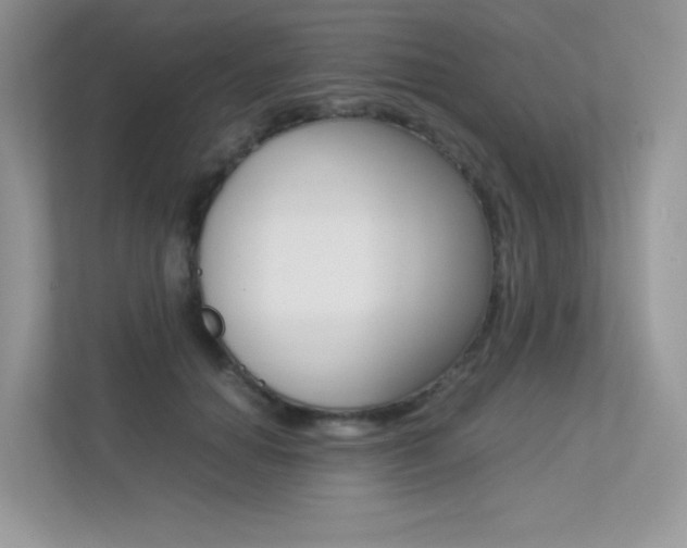 X0000113240654200909100924