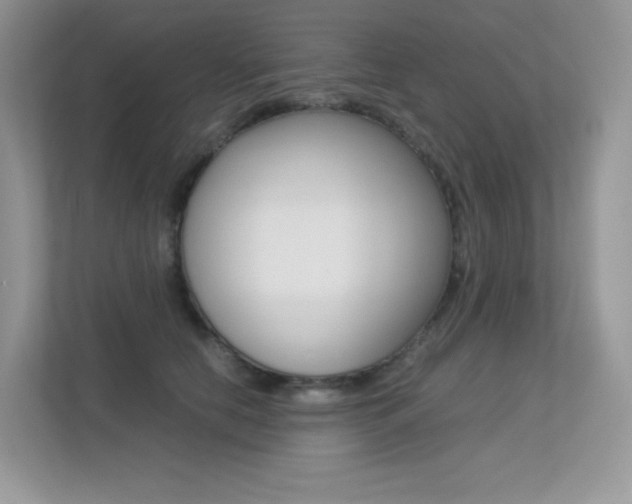 X0000113240658200909100924