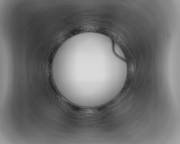 X0000113240663200909100924