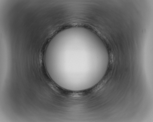 X0000113240664200909100924