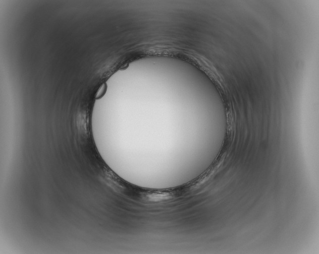 X0000113240669200909100924