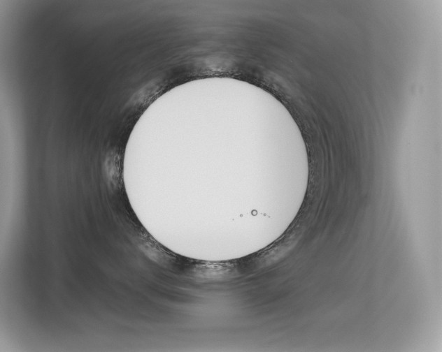 X0000113240672200909100924
