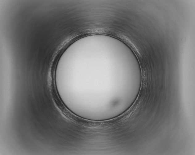 X0000113240674200909100923