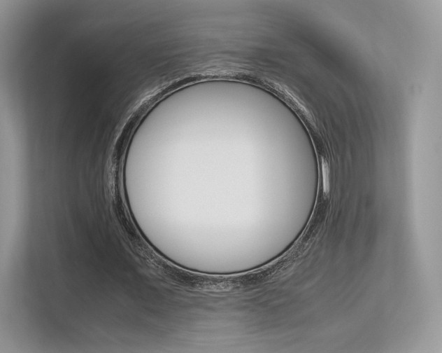 X0000113240675200909100923