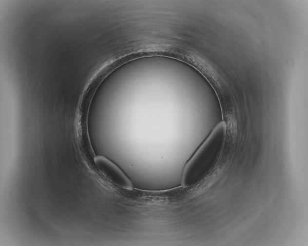 X0000113240676200909100923
