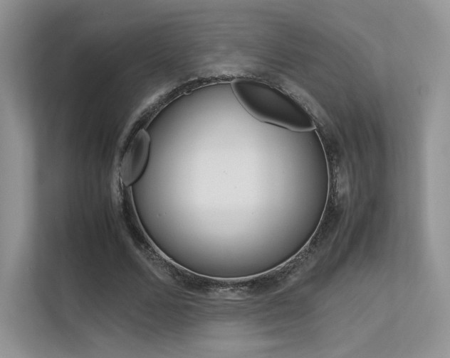 X0000113240680200909100923