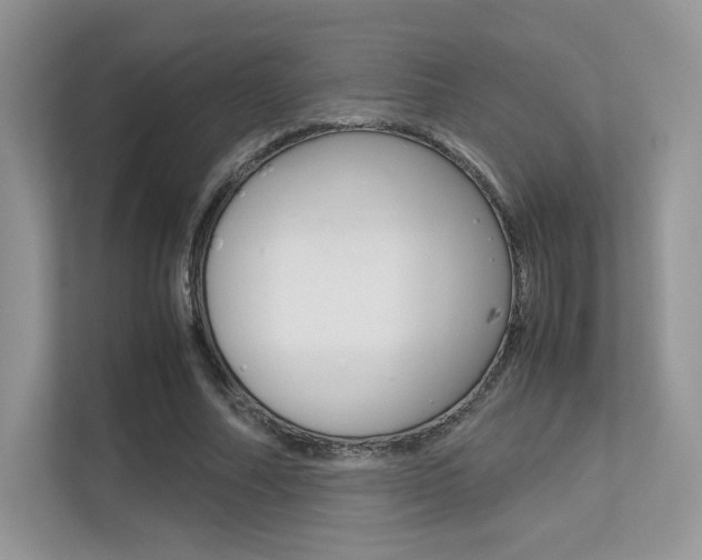 X0000113240682200909100923