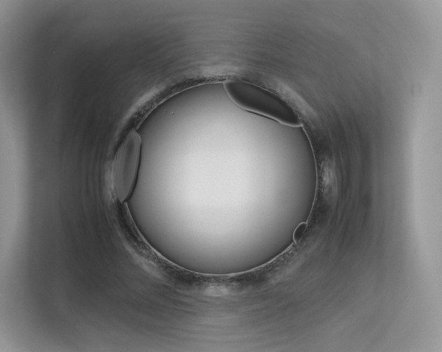 X0000113240684200909100923