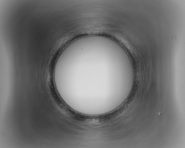 X0000113240687200909100923