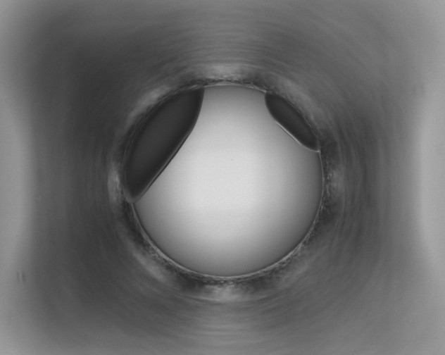 X0000113240688200909100923