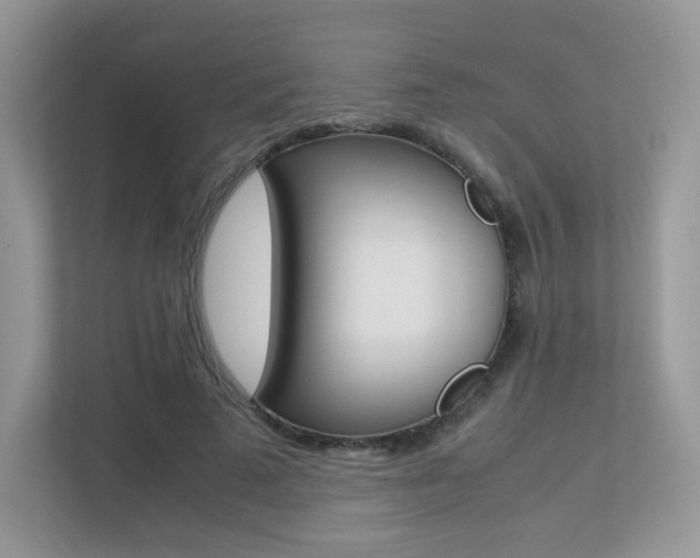 X0000113240689200909100923