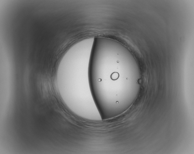 X0000113240691200909100923